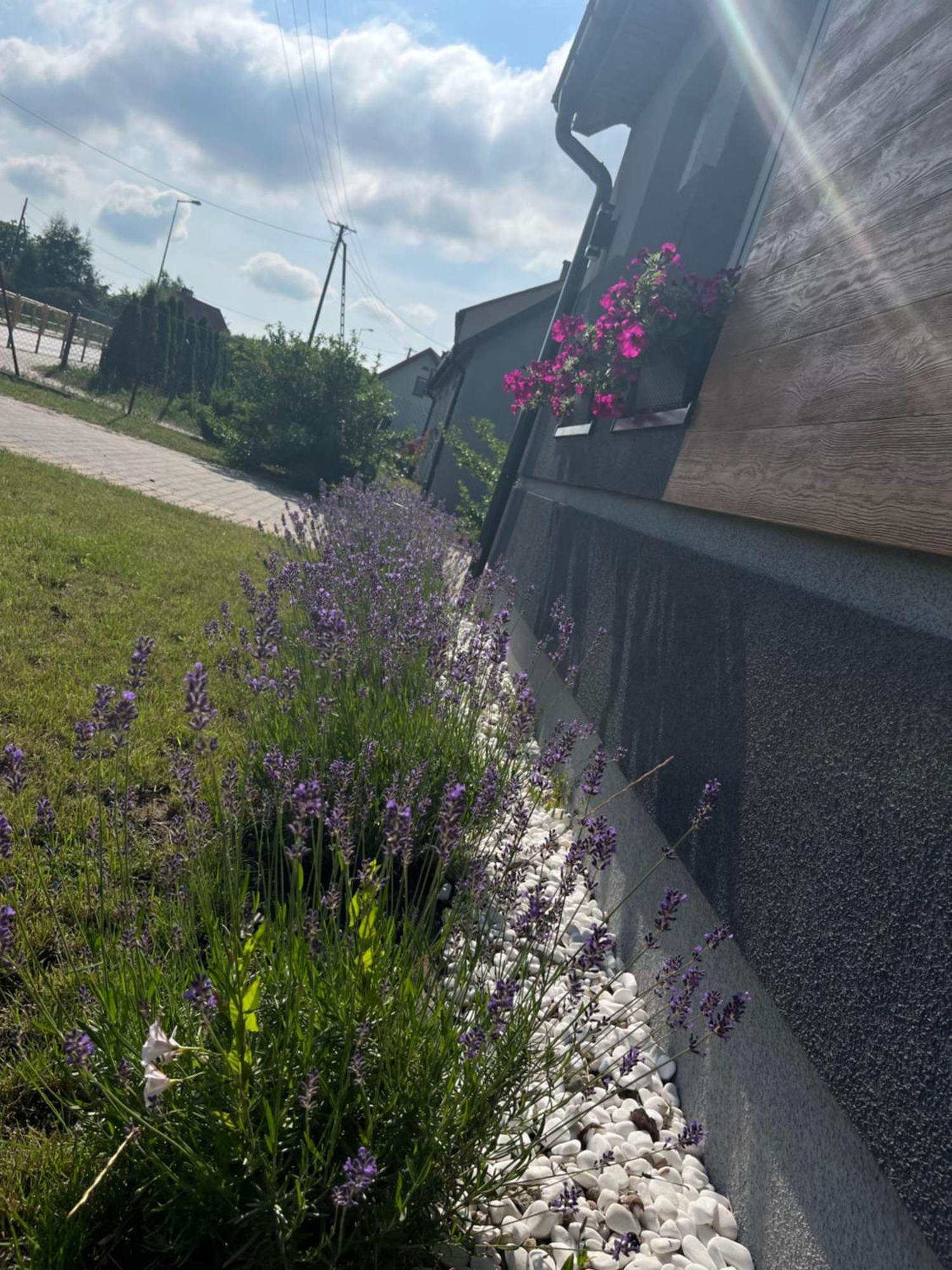 Apartament Numer 1, Dwie Sypialnie Dwa Lozka 오지시 외부 사진